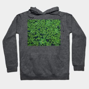 Green world Hoodie